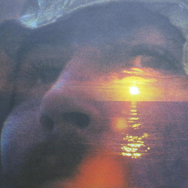 David Crosby: If I Could Only Remember My Name (1971)